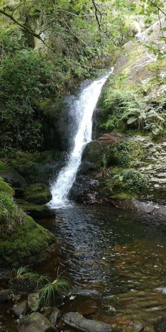 فيلا Casa O Coto Granas المظهر الخارجي الصورة